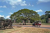 Angkor Thom - The terrace of the Elephants